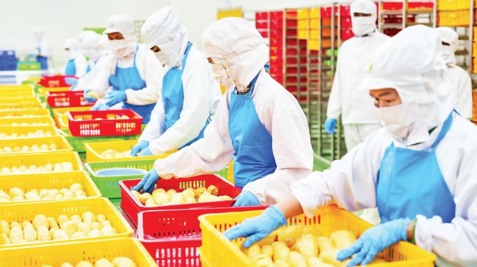 Sớm xây dựng Đề án cải cách chính sách tiền lương và bảo hiểm xã hội