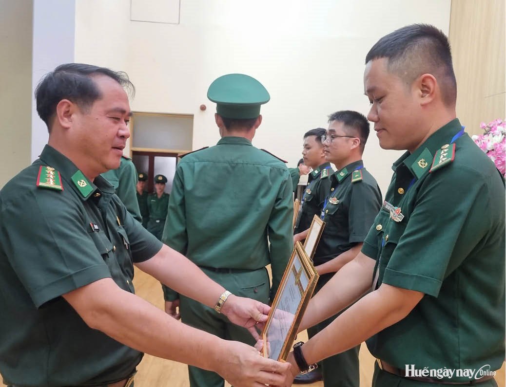 Người anh của chiến sĩ