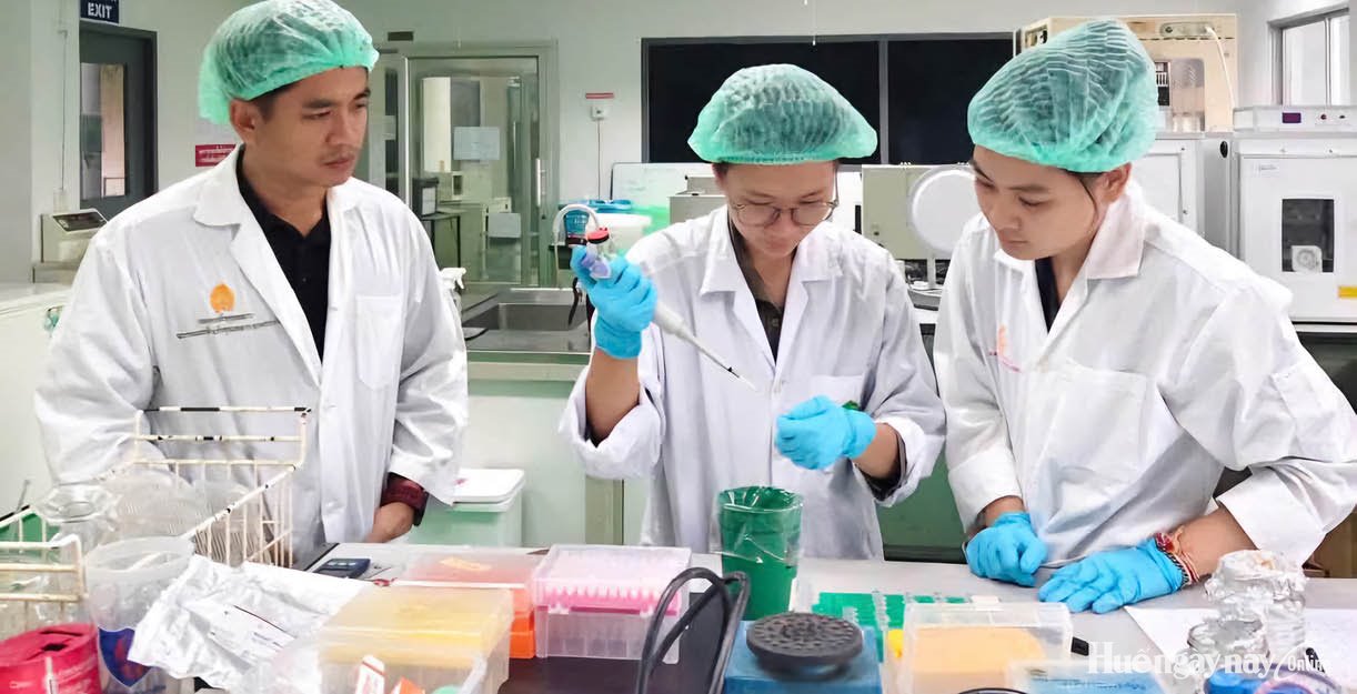 Miễn học phí cần đi cùng cơ hội nghề nghiệp