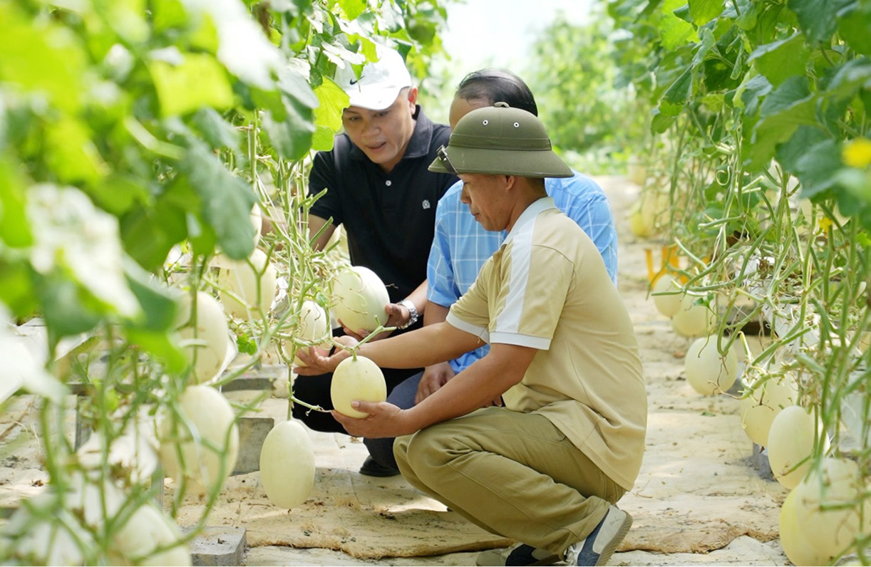 Phát triển Đảng trong hội viên nông dân Gỡ khó để “ươm mầm”