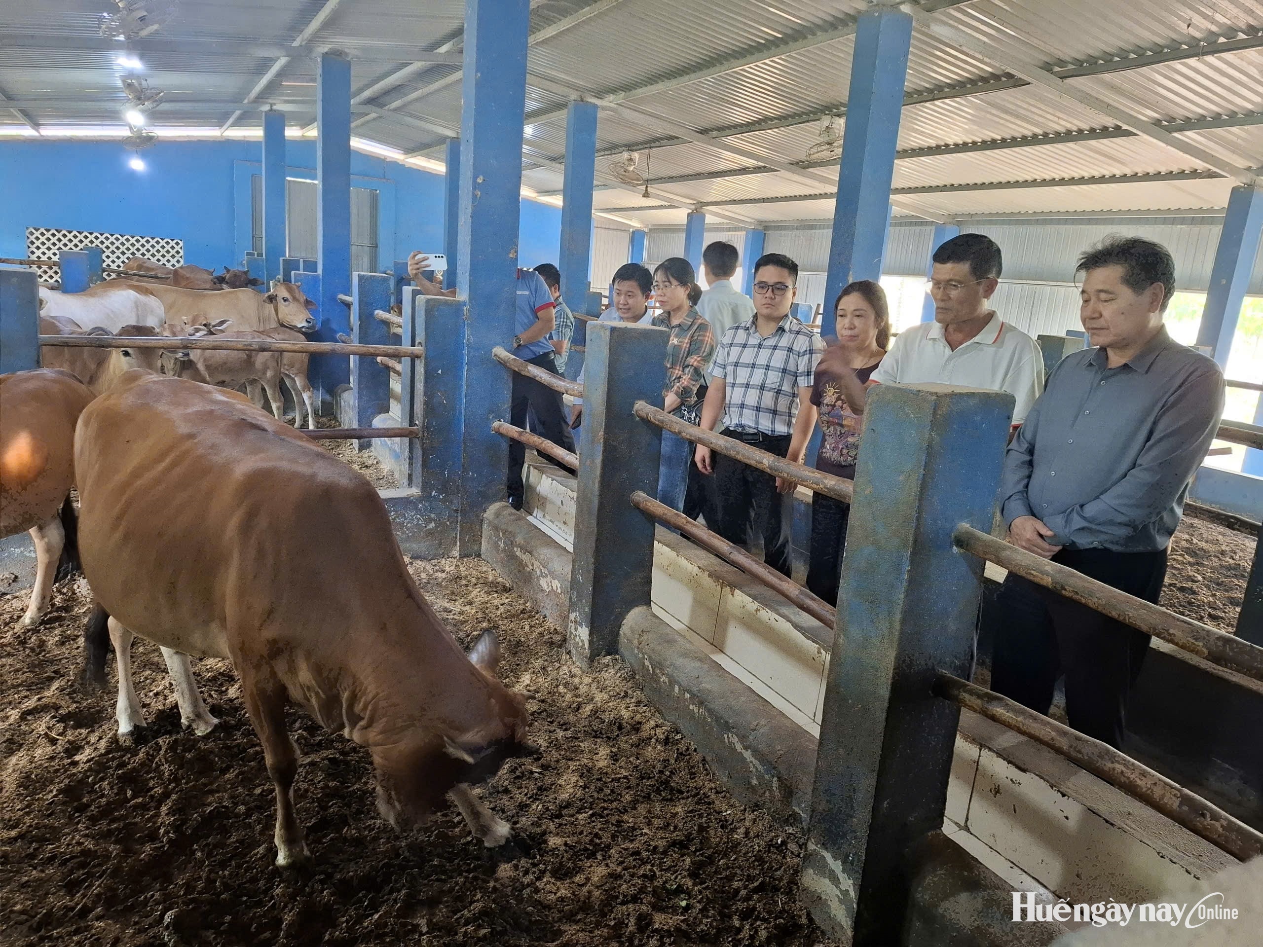 Thúc đẩy chăn nuôi theo hướng kinh tế tuần hoàn