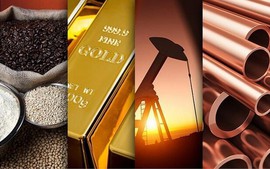THỊ TRƯỜNG HÀNG HÓA Giá kim loại quý bật tăng, giá đường giảm mạnh do thanh lý vị thế