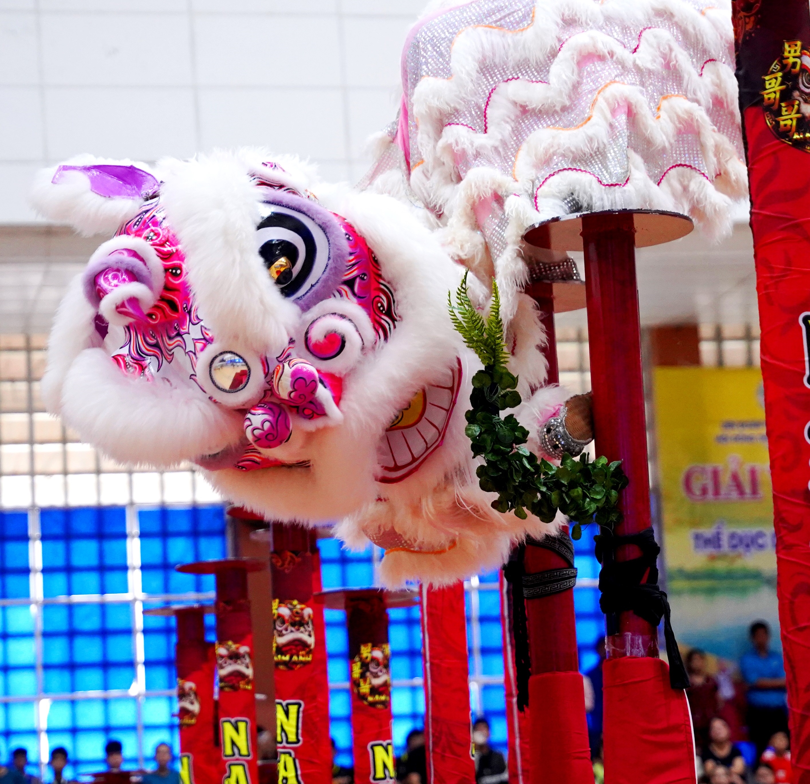 Hấp dẫn ngày hội lân Huế