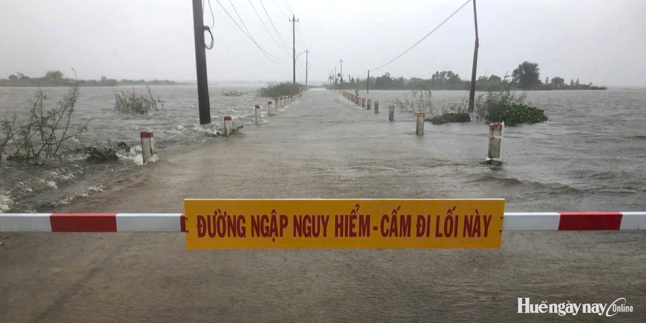 Chủ động từ sớm, từ xa, sẵn sàng ứng phó với các tình huống thiên tai