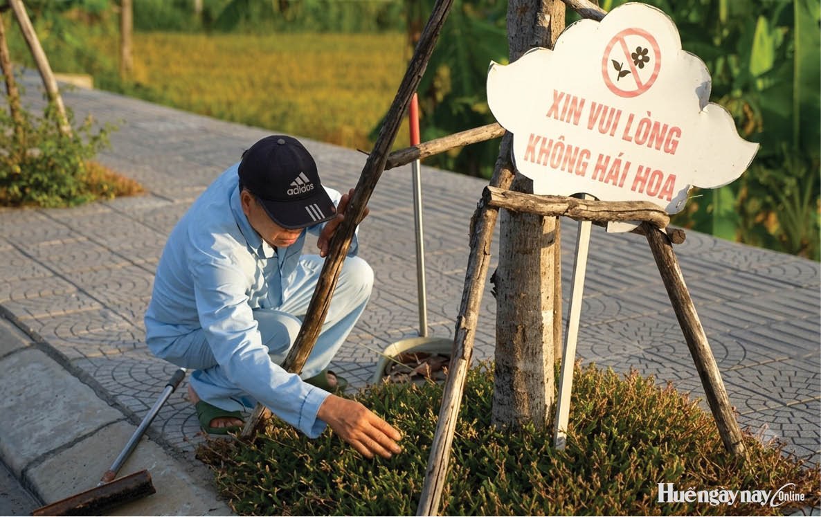 15 năm lặng thầm giữ phố xanh, sạch