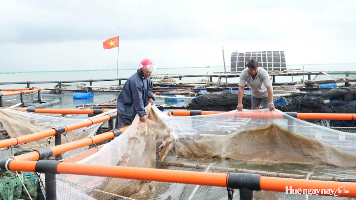 Hướng phát triển bền vững cho nghề nuôi thủy sản