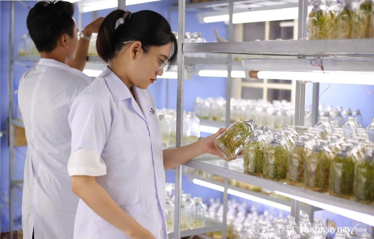 Từ phòng thí nghiệm đến thị trường Đường đi mới cho công nghệ sinh học Huế