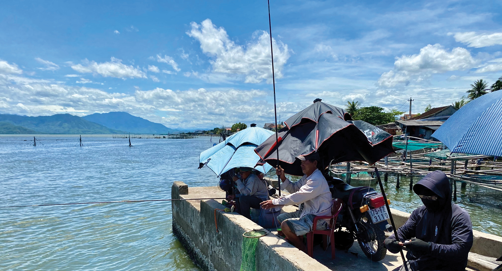 “Săn” cá kình dưới chân cầu Tư Hiền