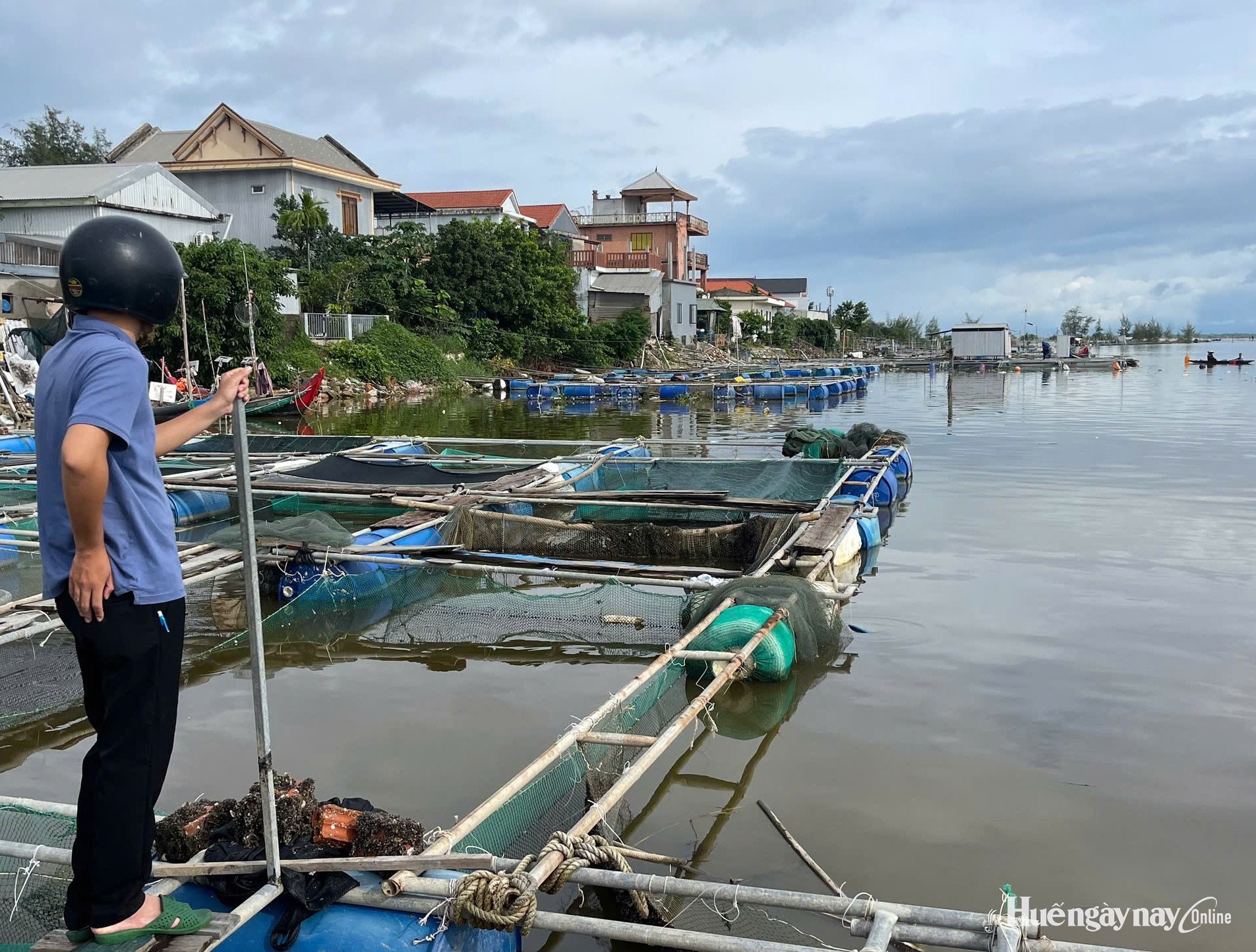 Hơn 86 tỷ đồng hỗ trợ khôi phục sản xuất nông nghiệp vùng thiên tai