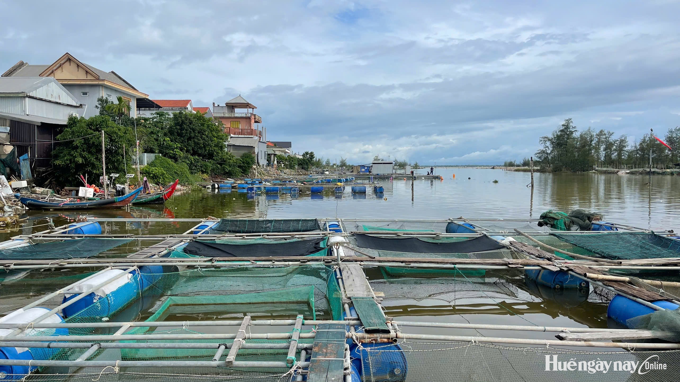 Hơn 86 tỷ đồng hỗ trợ khôi phục sản xuất nông nghiệp vùng thiên tai