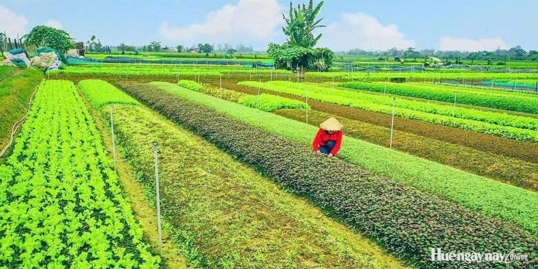 Hóa Châu tháo gỡ vướng mắc đất đai, tăng tốc đầu tư