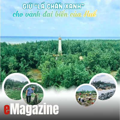 Giữ “lá chắn xanh” cho vành đai biển của Huế - Kỳ 1 Biển tiến, rừng lùi