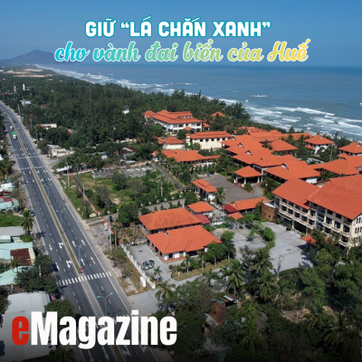 Giữ “lá chắn xanh” cho vành đai biển của Huế - Kỳ 3 Gia cố tấm khiên xanh trước biến đổi khí hậu