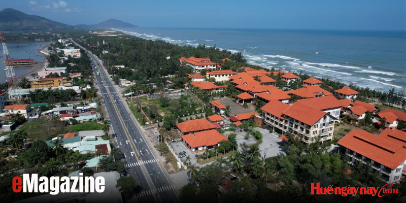 Giữ “lá chắn xanh” cho vành đai biển của Huế - Kỳ 3 Gia cố tấm khiên xanh trước biến đổi khí hậu