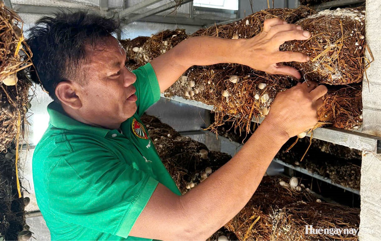 Tìm hướng sản xuất phù hợp để tăng thu nhập