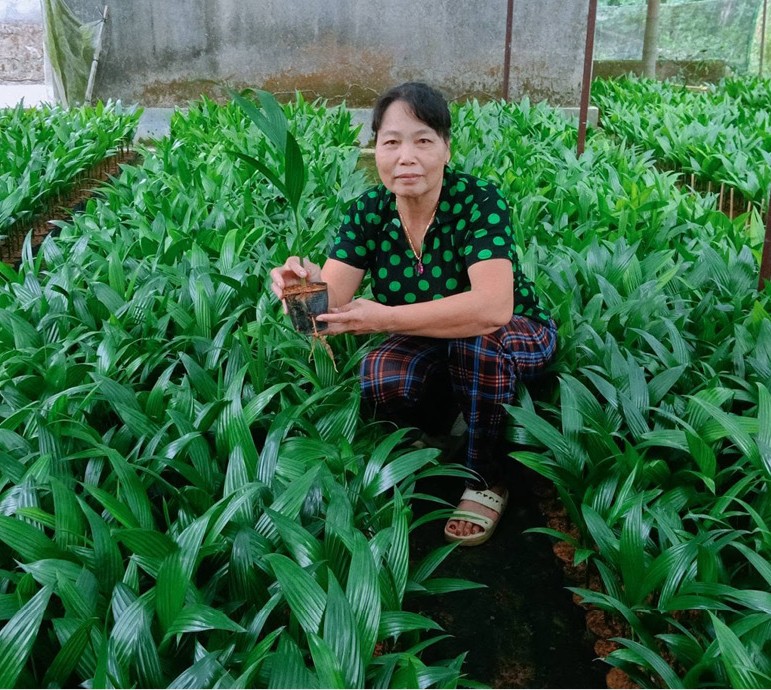 Vươn lên từ mô hình kinh tế đồi rừng