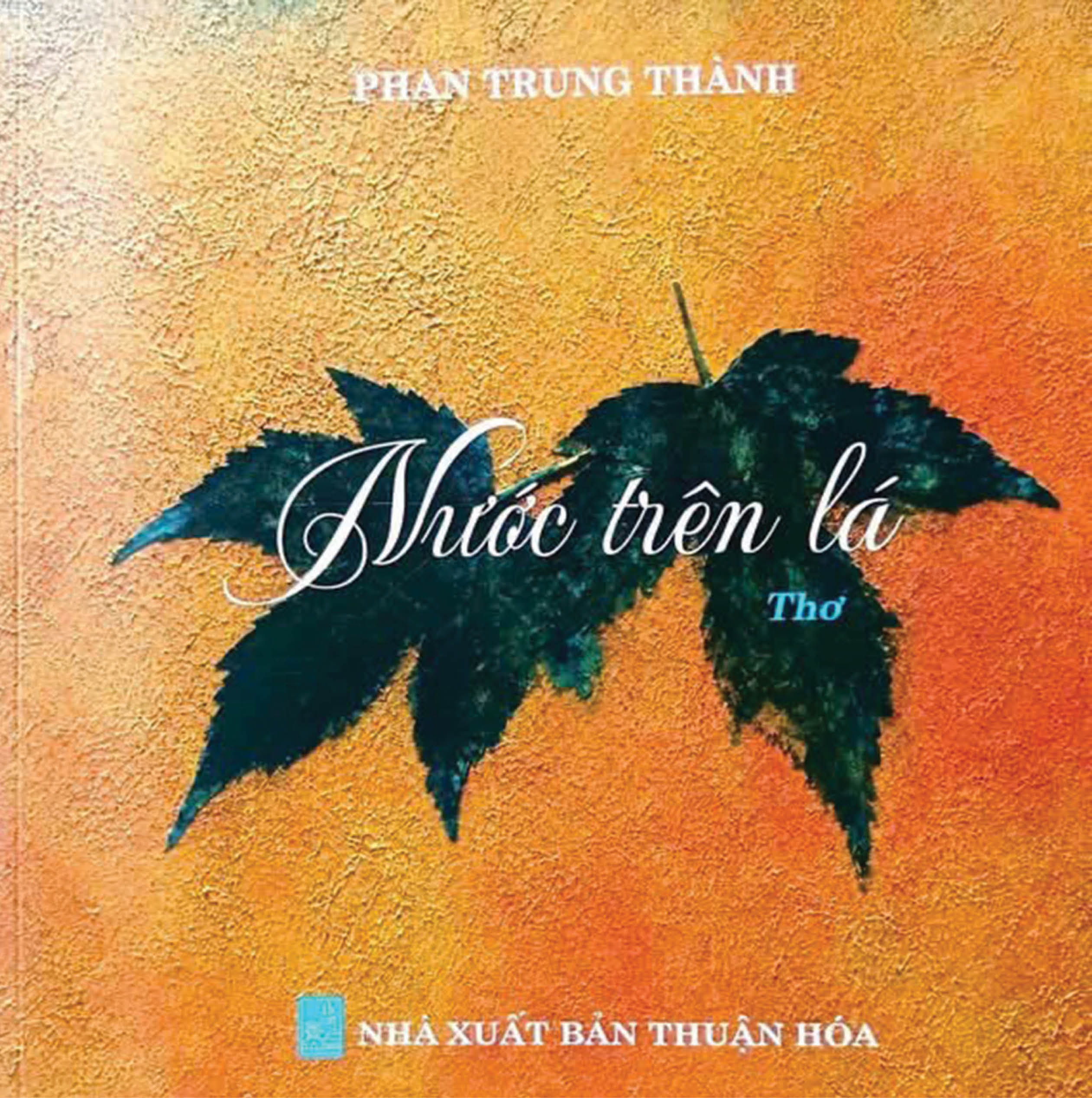 Từ phố thị phồn hoa về bên phá Tam Giang