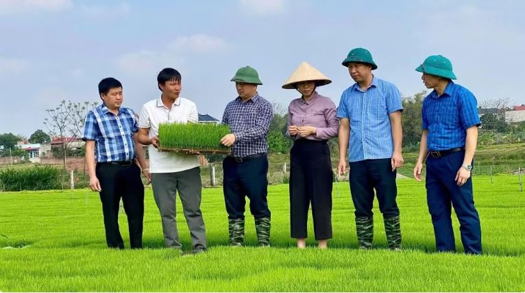 Đào tạo nghề cho lao động nông thôn