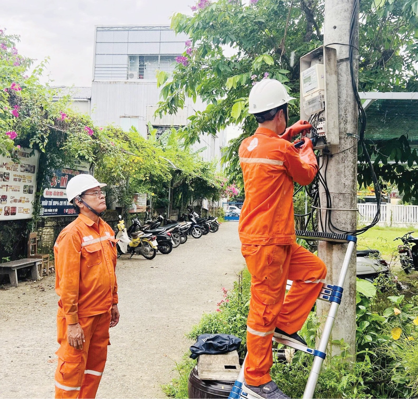 Củng cố lưới điện trước mùa mưa bão