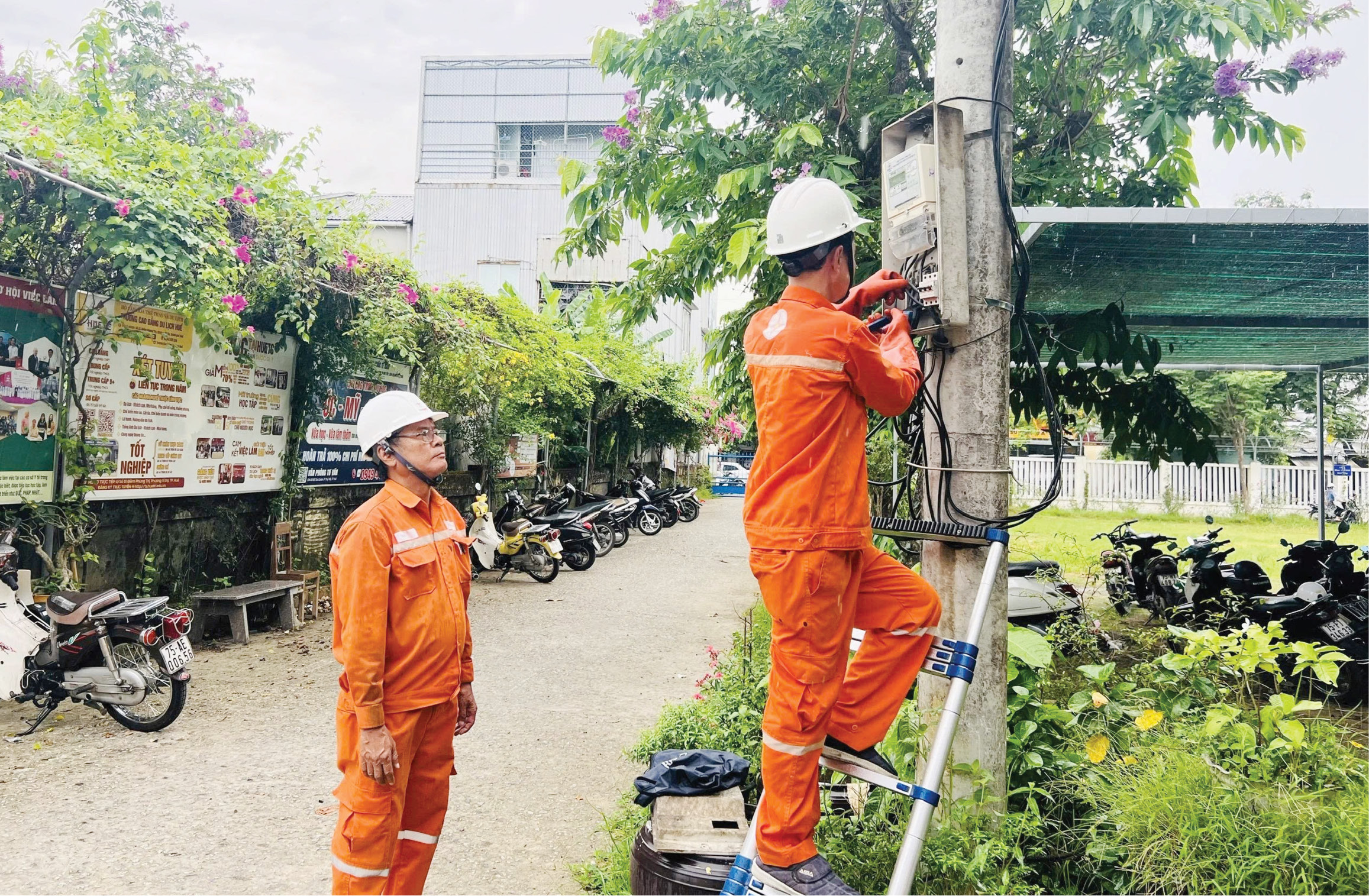 Củng cố lưới điện trước mùa mưa bão