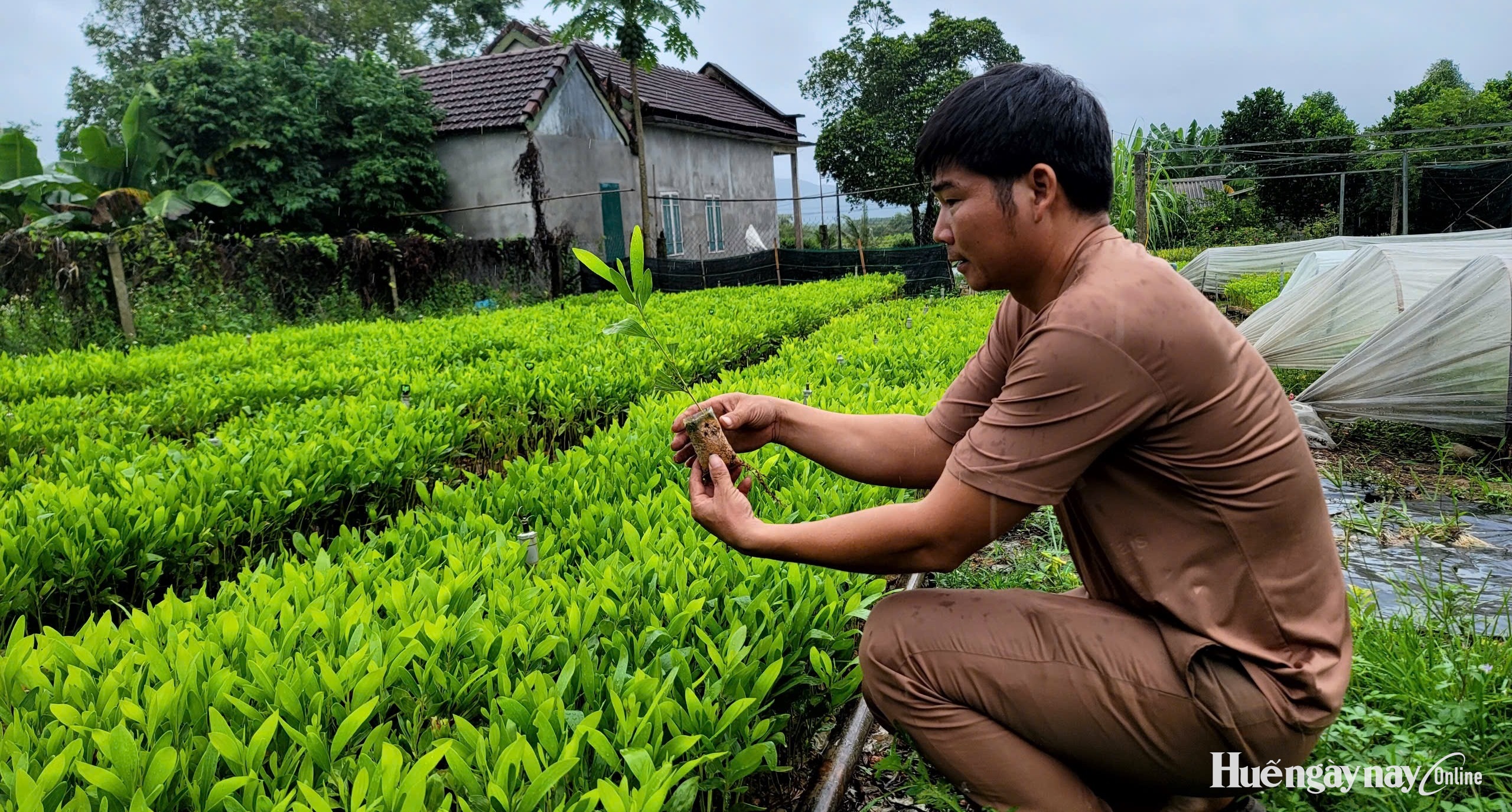 Thêm điểm tựa, tạo sinh kế