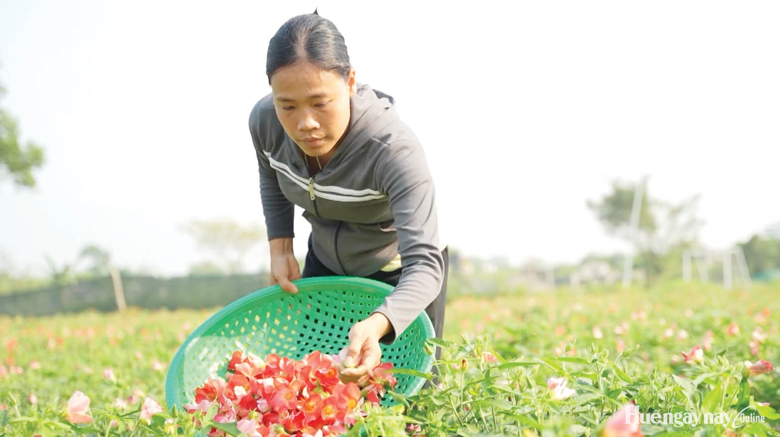 Hỗ trợ phụ nữ khởi nghiệp đi xa hơn