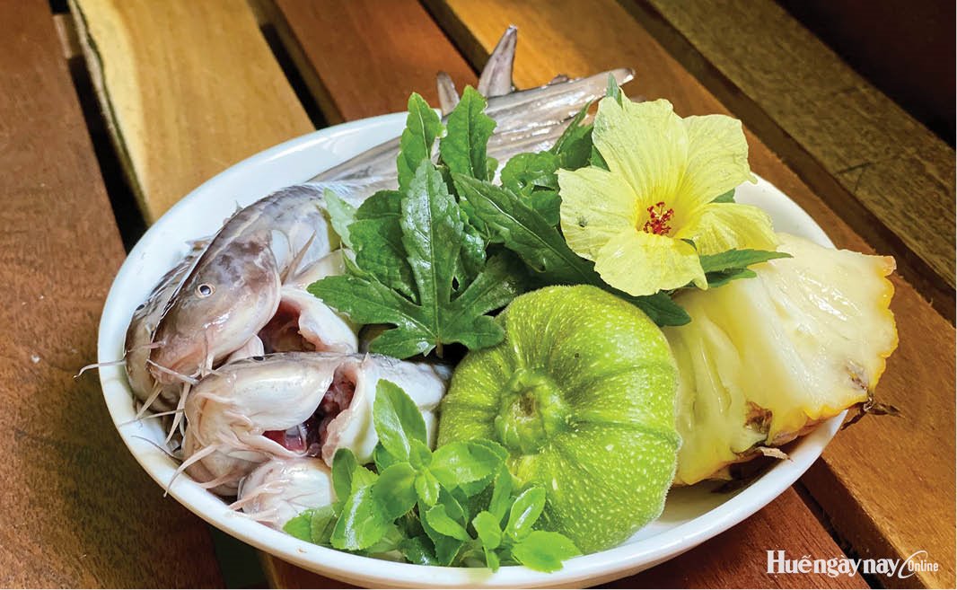Mùa cá ngát về bờ