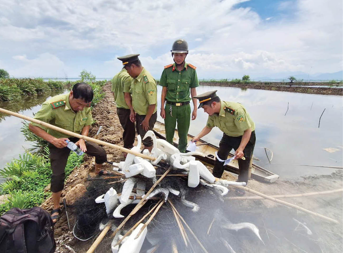 Gỡ bẫy lưới, giữ lối về cho chim di cư