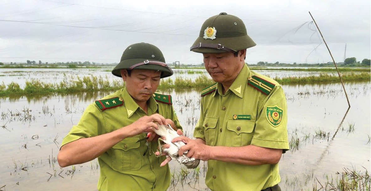 Công khai bán chim hoang dã ở chợ