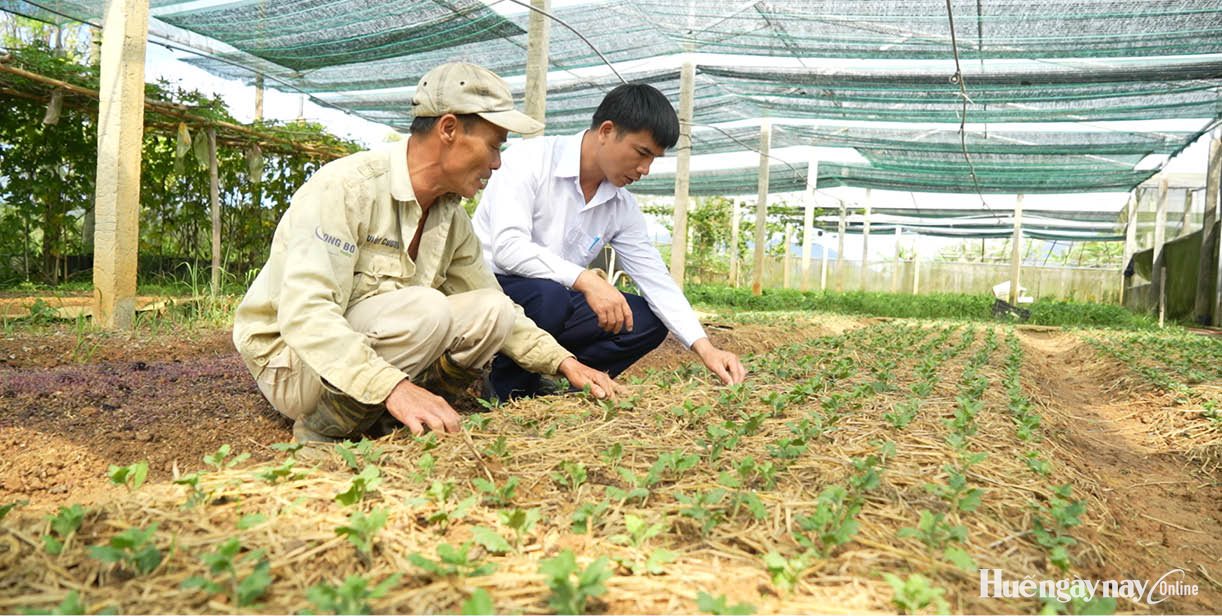 Tín dụng chính sách đồng hành cùng đồng bào dân tộc thiểu số