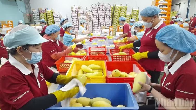 Vai trò cấp ủy kiến tạo động lực mới cho kinh tế tư nhân