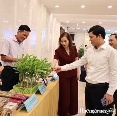 Nâng cao giá trị rừng trồng từ quản lý rừng bền vững