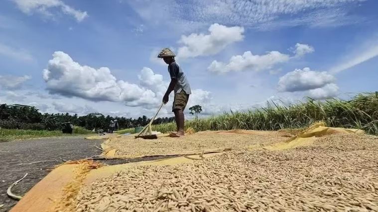 Bảo vệ cộng đồng trước nguy cơ El Nino bất thường
