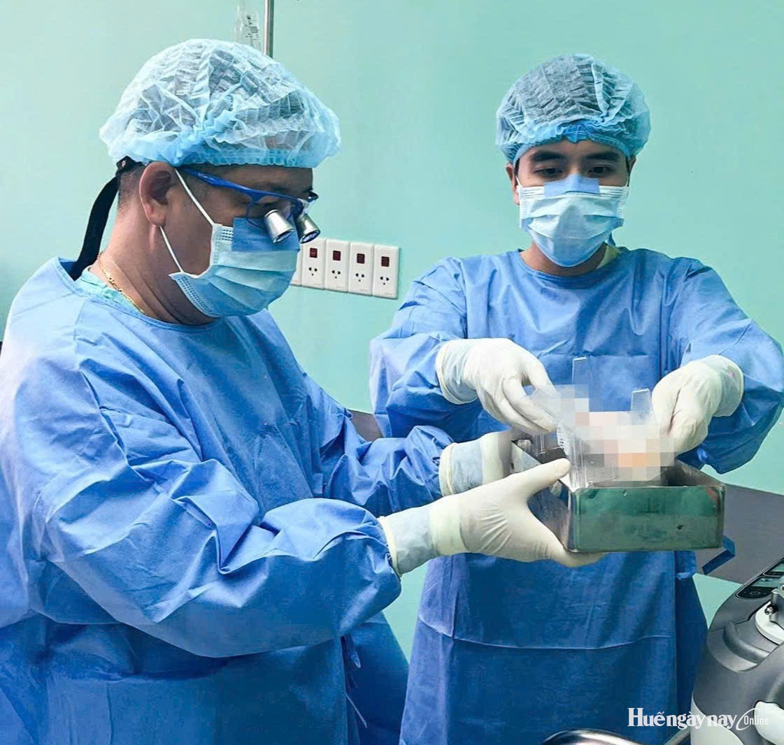 Bệnh viện Trung ương Huế lập kỷ lục mới về bảo quản thận ghép xuyên Việt