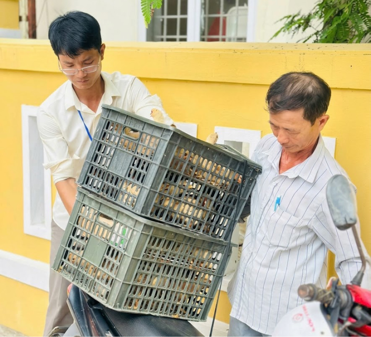 Khơi dậy ý chí tự lực, mở hướng thoát nghèo bền vững