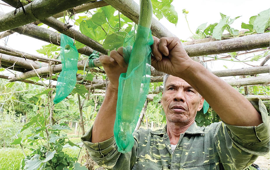 Farmers with love for organic vegetables
