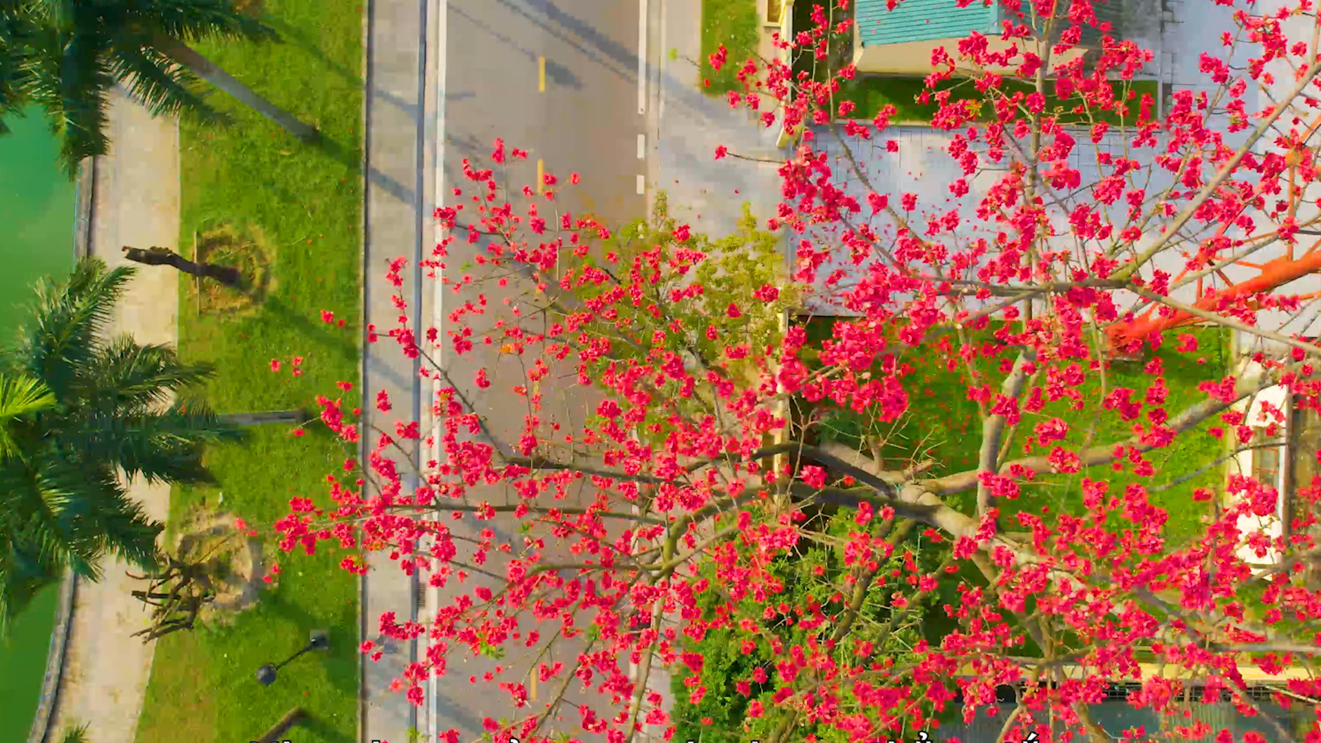 Culture and Tourism news bulletin No 144