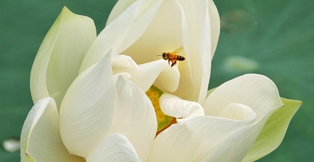 Culture and Tourism news bulletin No 148