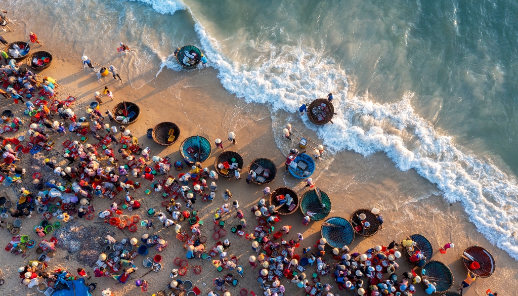 Tam Tien Fish Market s Vibrant Colors