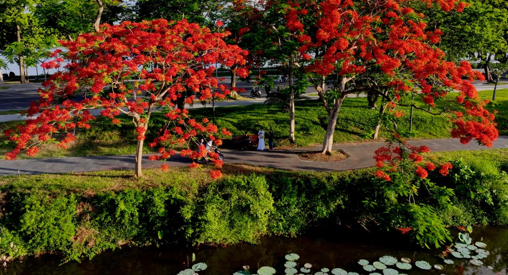 Culture and Tourism news bulletin No 155