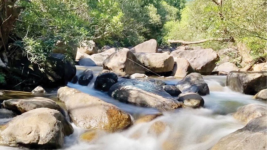 Visiting the deserted streams