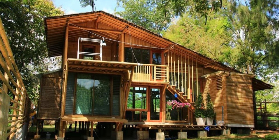 Contemporary bamboo in construction