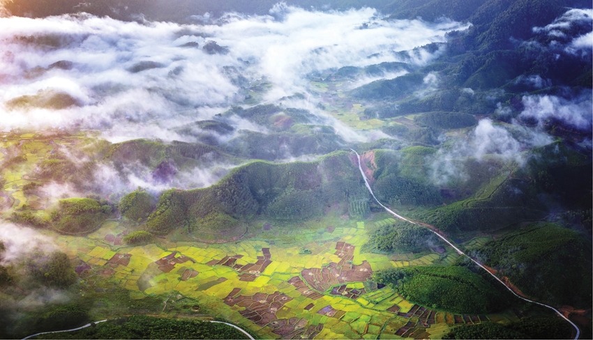 A Roang is far but close