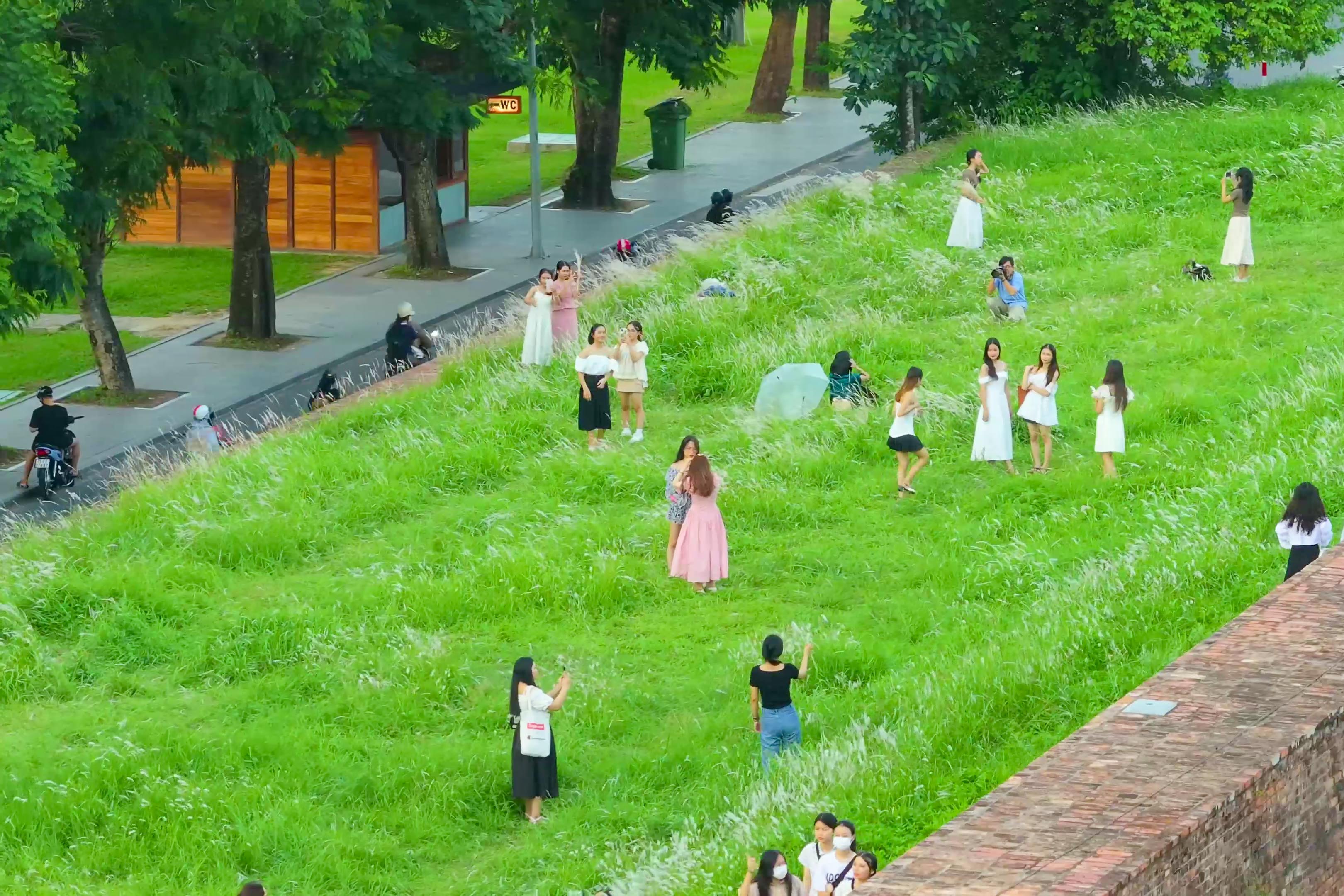 Check-in with reeds on the Citadel