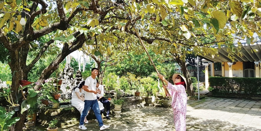 Plant a persimmon tree in the front yard