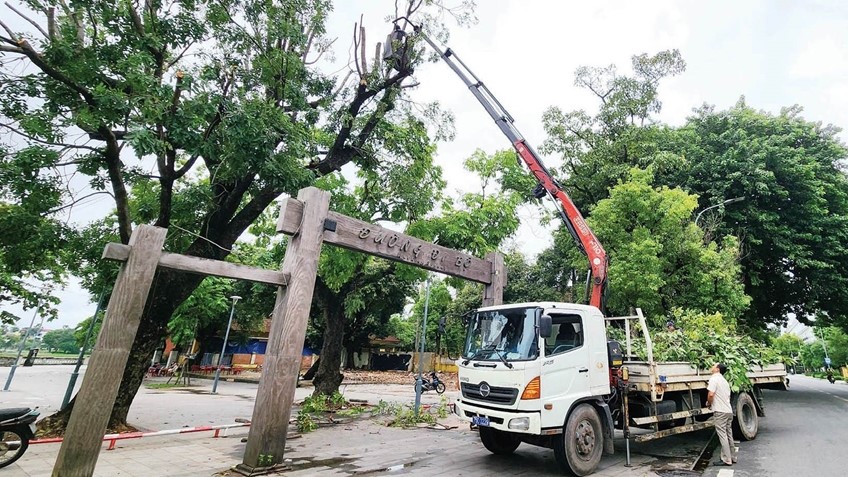 Ensuring tree safety during stormy season