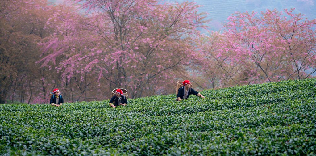 Culture and Tourism news bulletin No 185