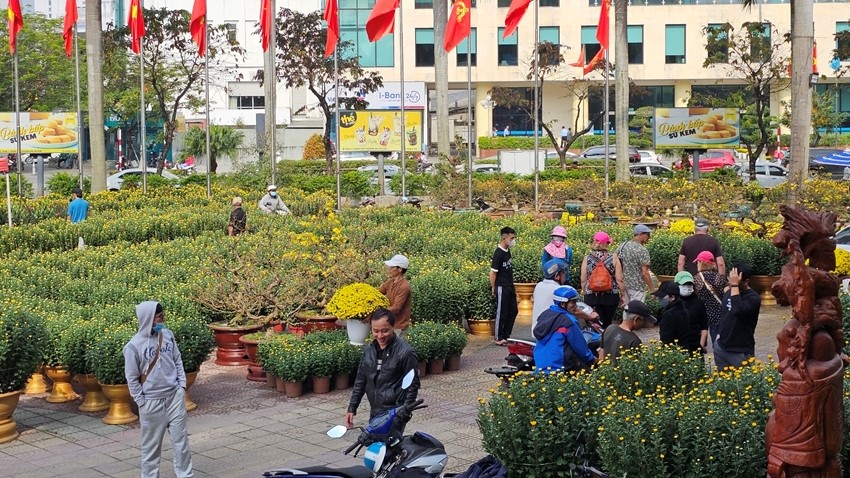Flowers are plentifully arriving to serve Tet market
