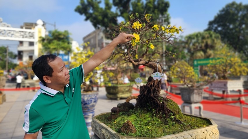 29 prizes are presented at the contest “Hoang Mai Hue - Spring 2024 Masterpiece”