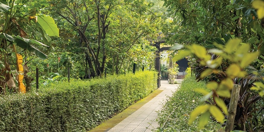 Spring in Hue gardens